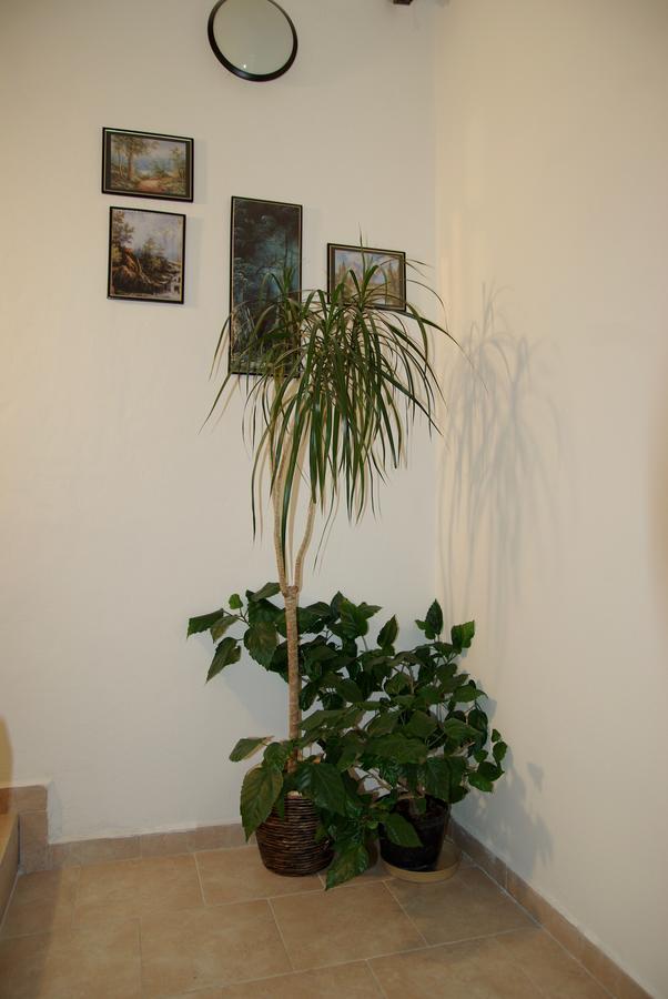 Hostel Humpolec Extérieur photo